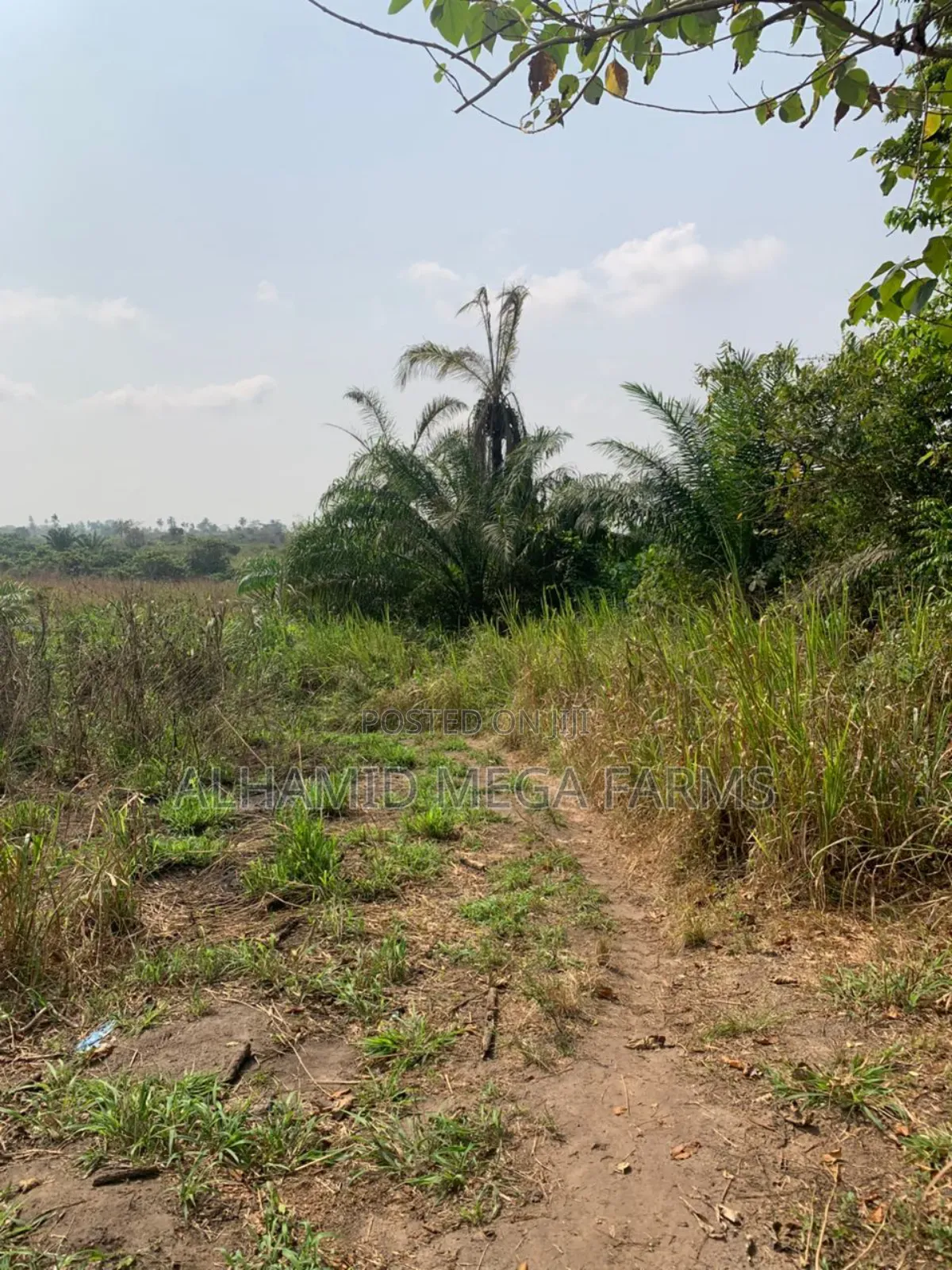 100 Acres of Farm Land at 700,000