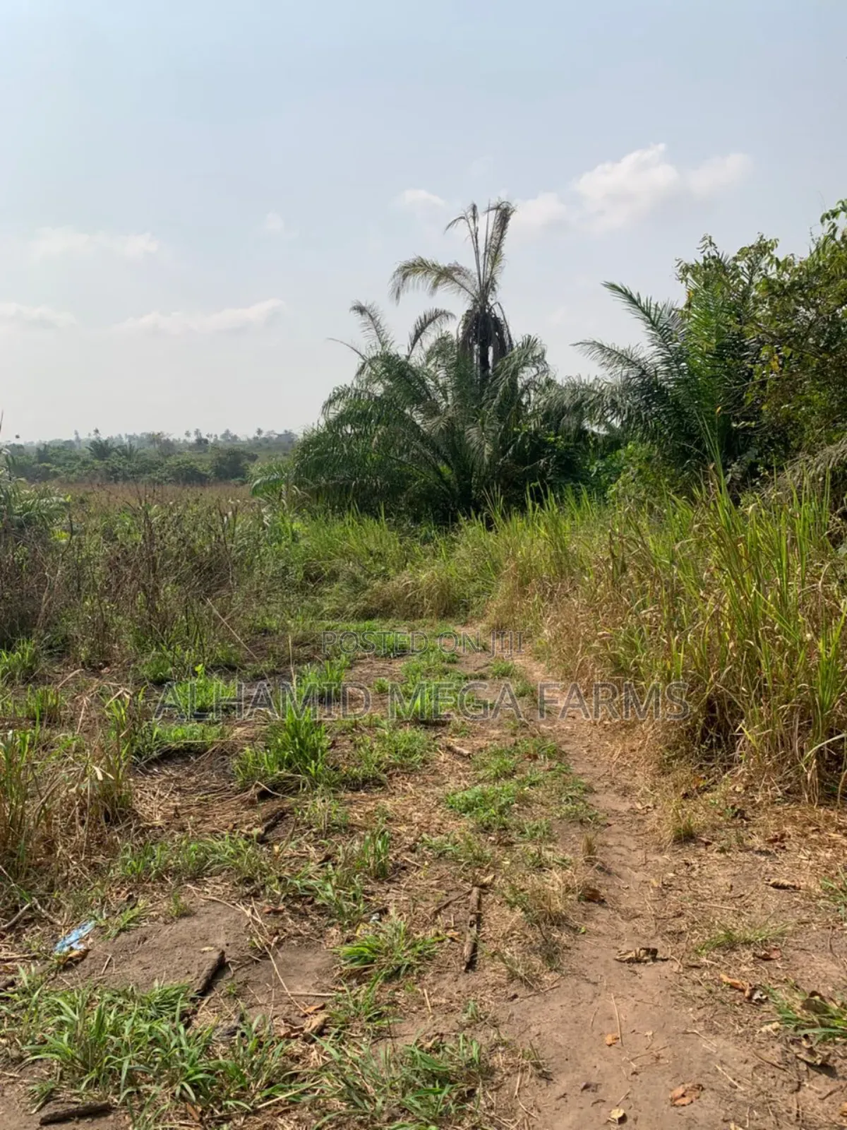 100 Acres of Farm Land at 700,000