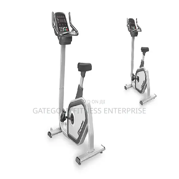Commercial Upright Bike