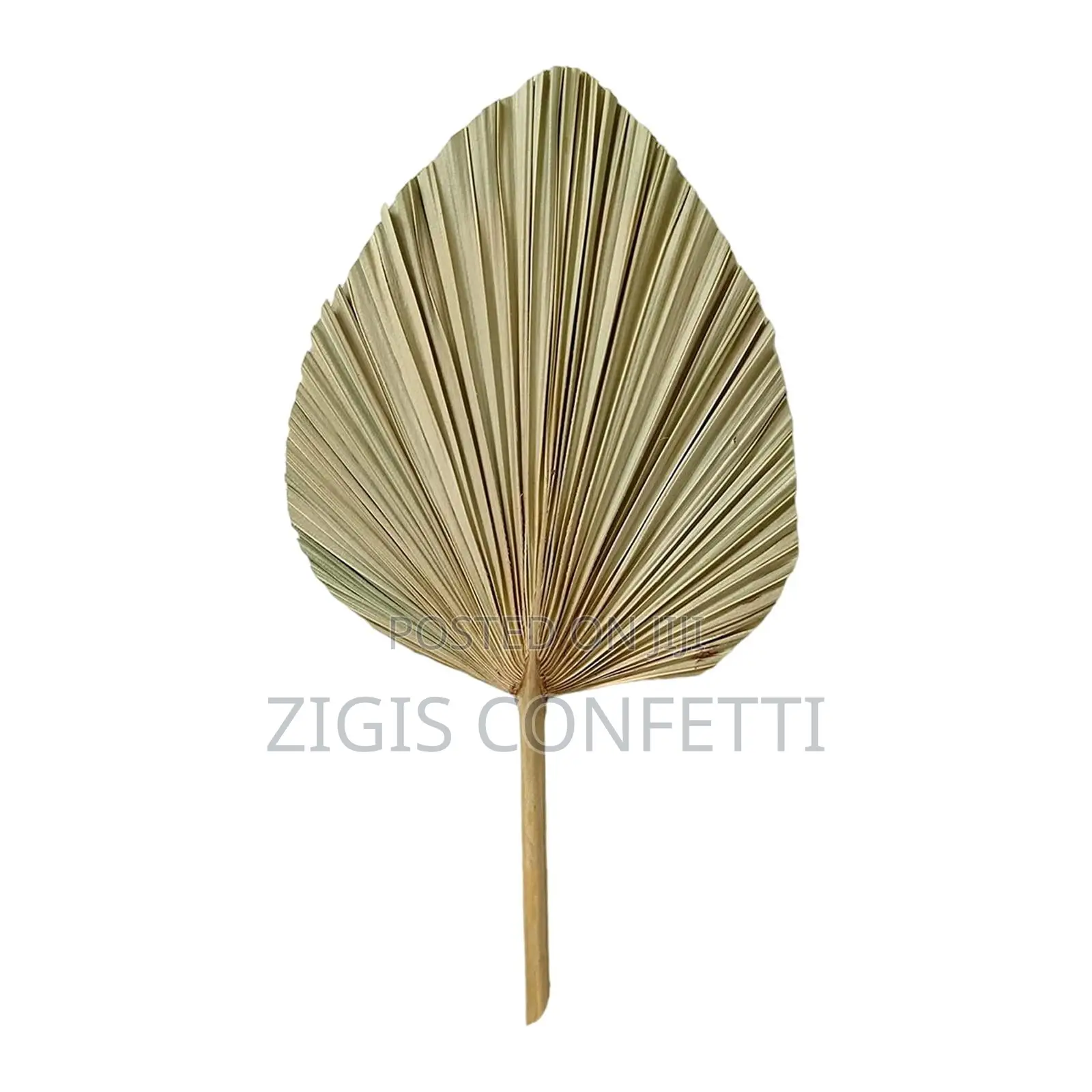 Dried Palm Cut