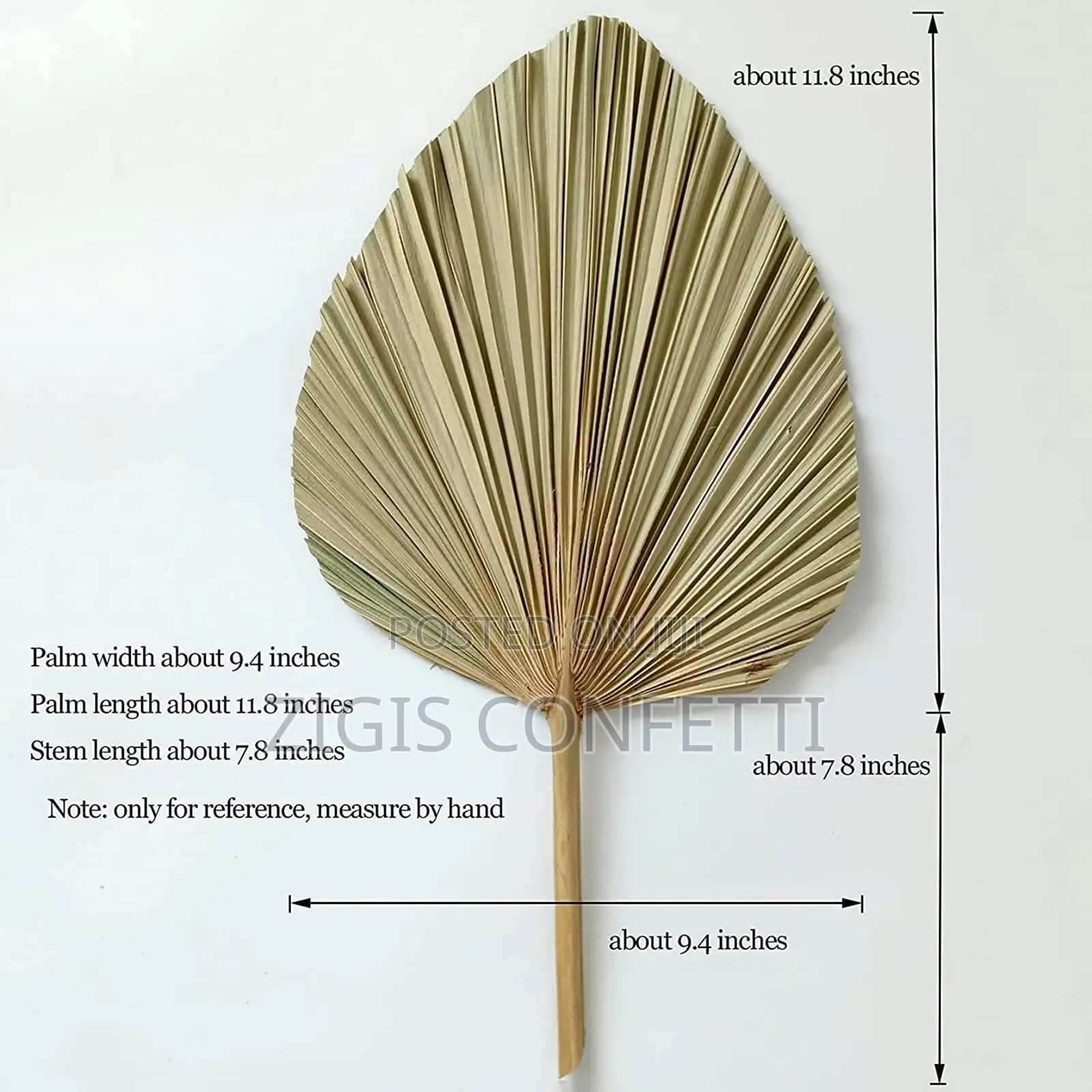 Dried Palm Cut