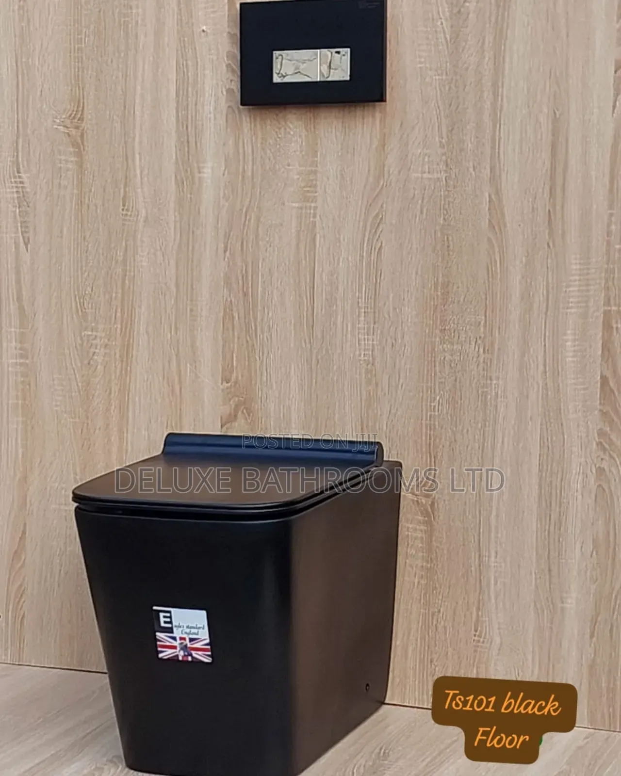 Black Concealed Water Closet