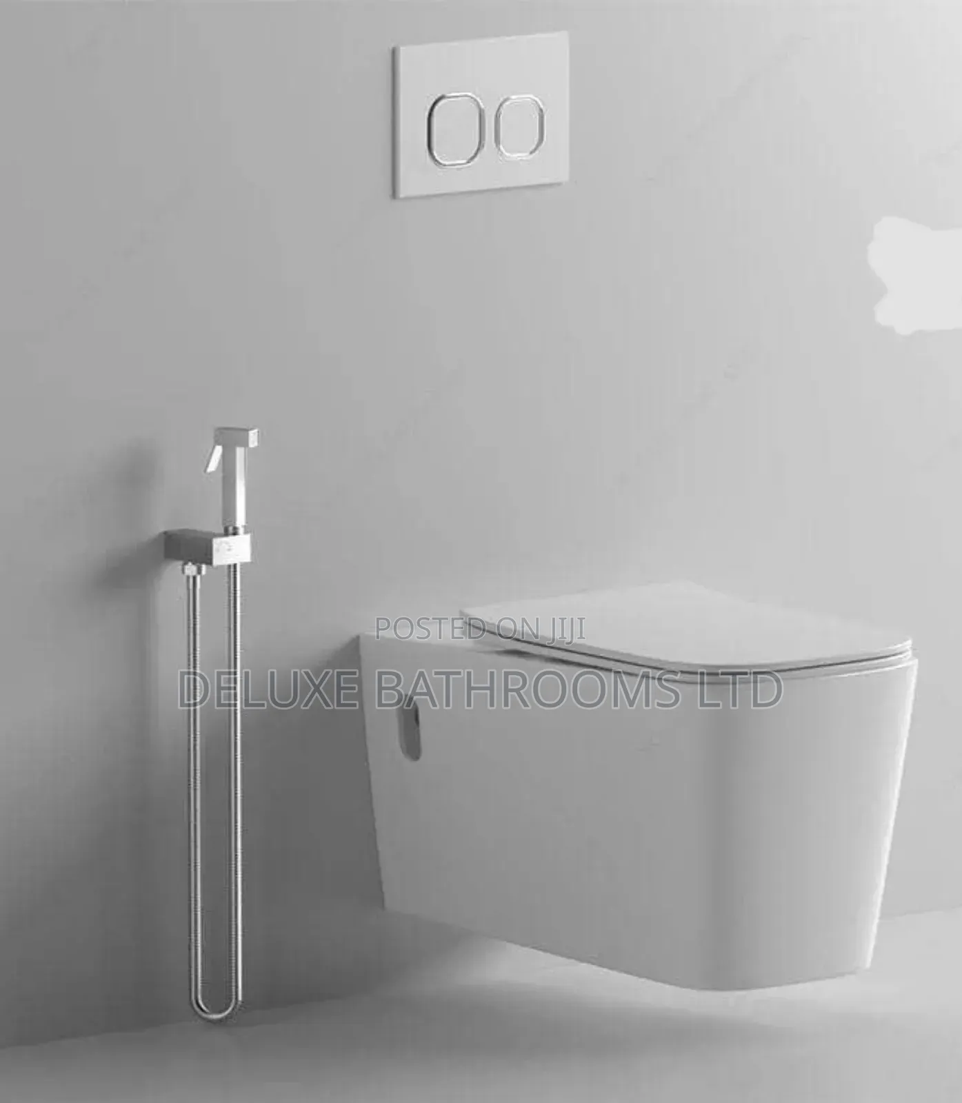 Concealed Water Closet and Tank