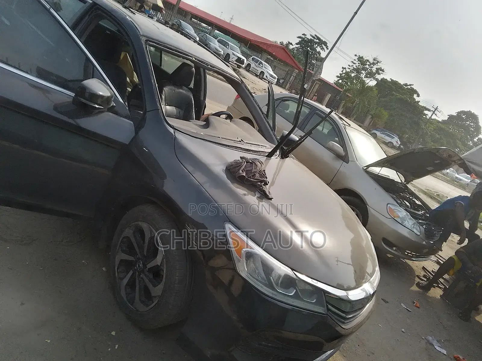 Front Windscreen for Honda Accord 2016 Now Available