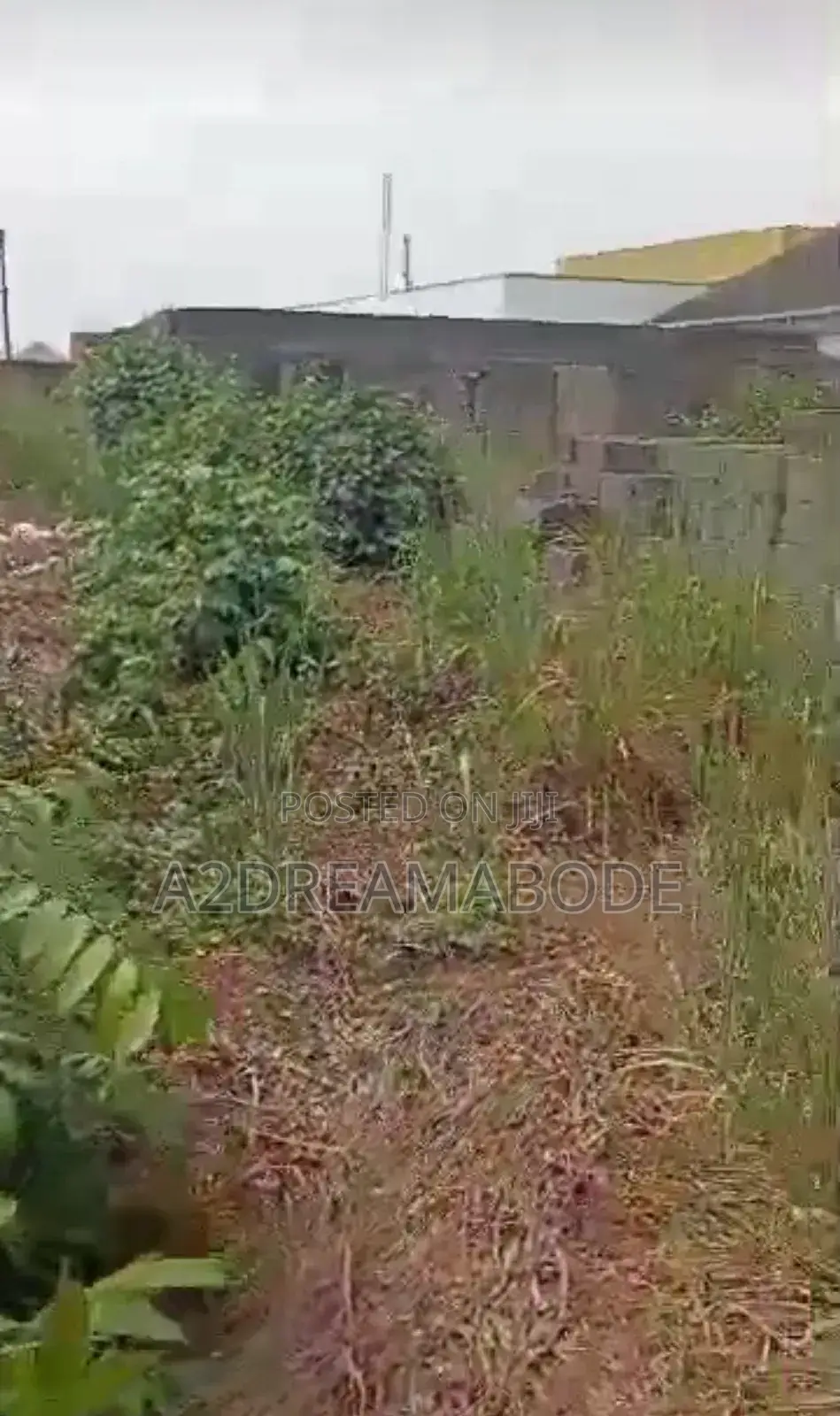 Full Plot of Land