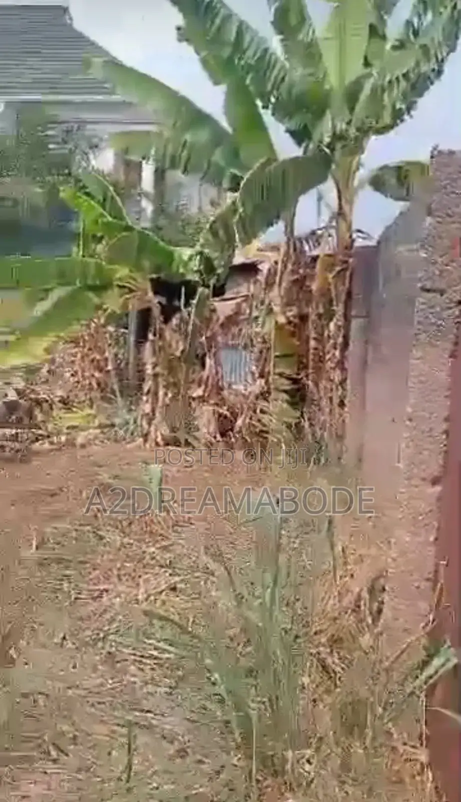 Full Plot of Land