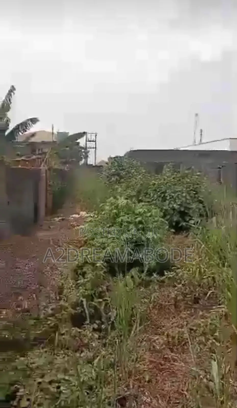 Full Plot of Land