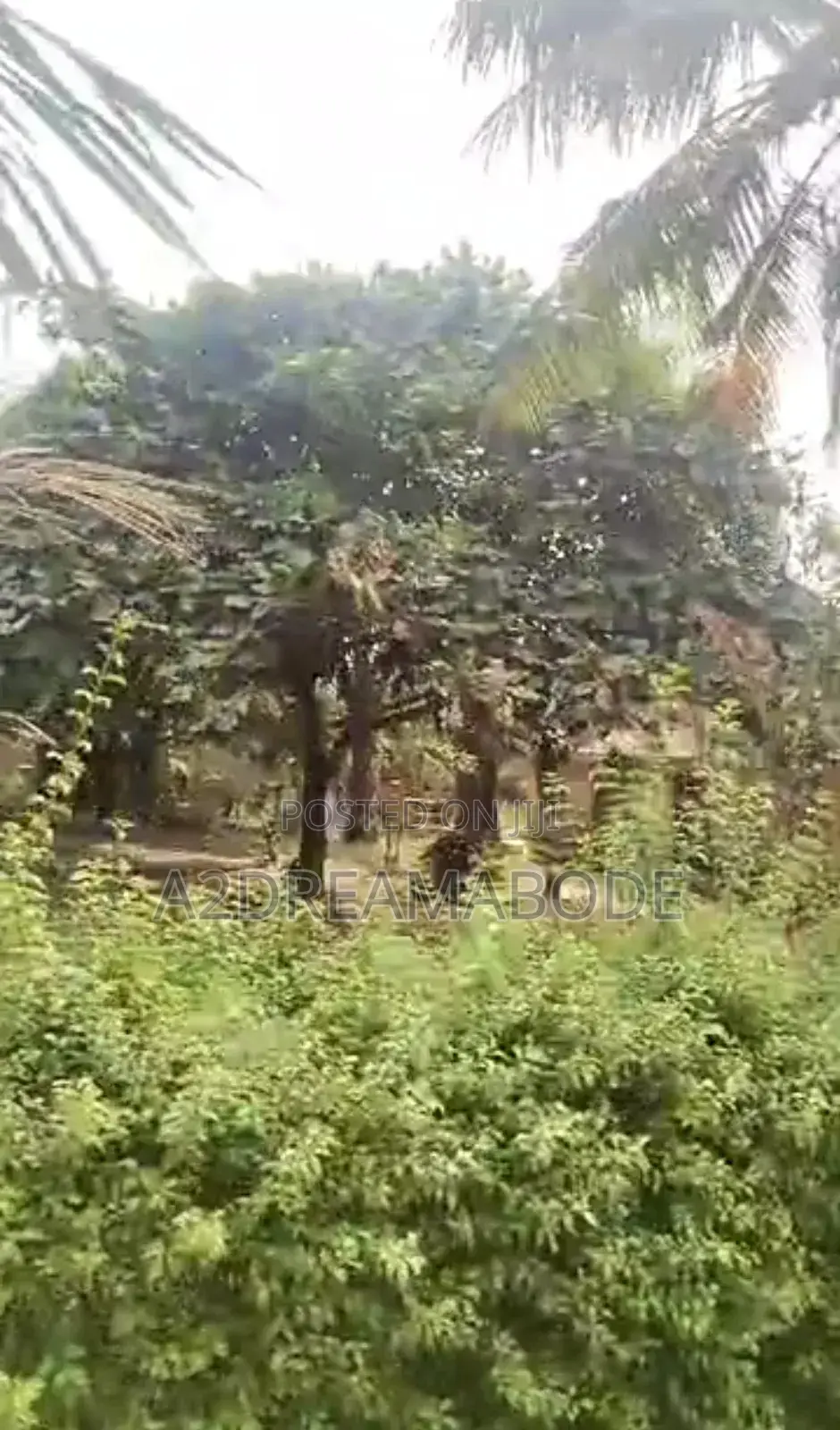 Exclusive 2 Plots of Land