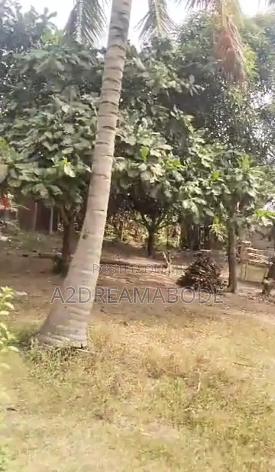 Exclusive 2 Plots of Land