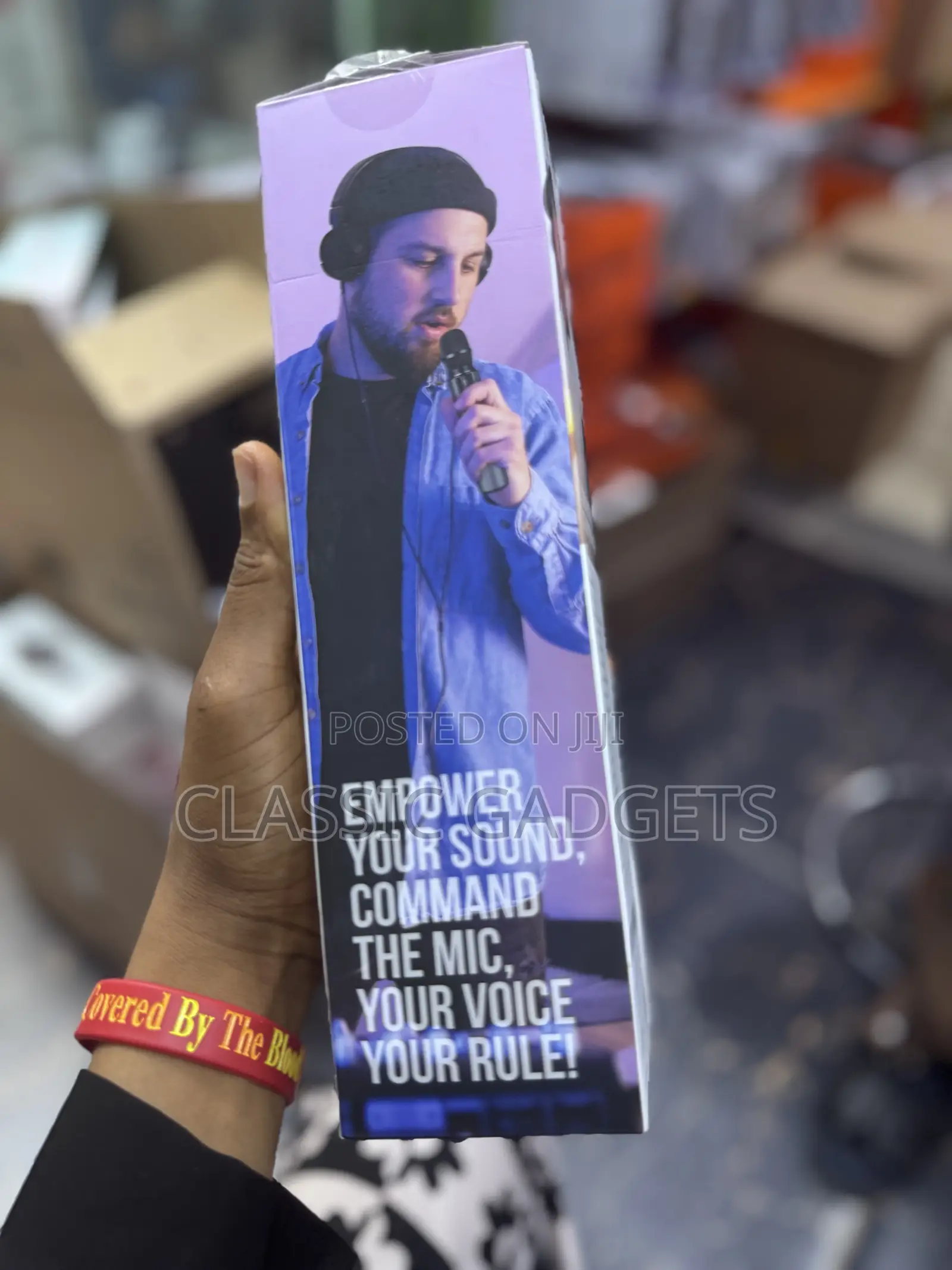 Green Lion Karaoke Microphone