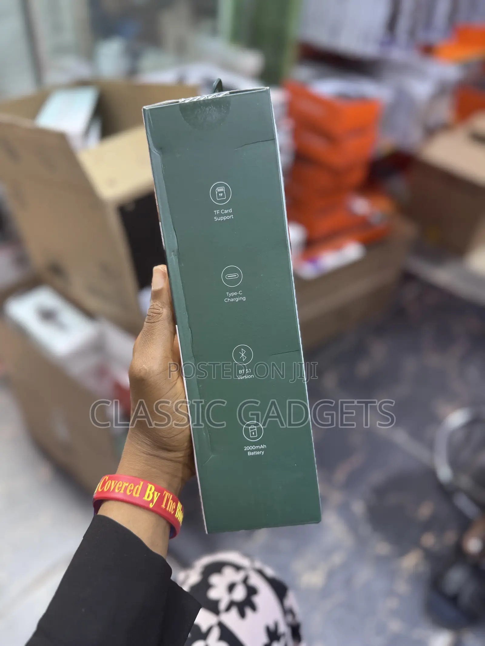 Green Lion Karaoke Microphone