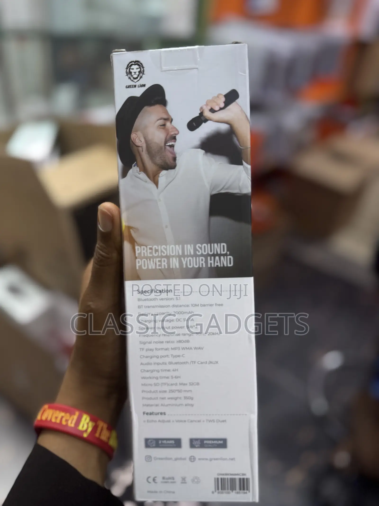 Green Lion Karaoke Microphone
