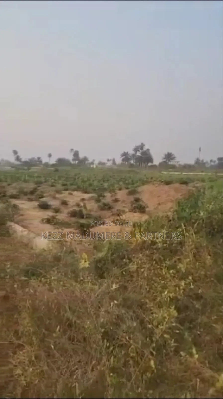 For Sale: 6 Plots on the Major Stadium Rd, Ph