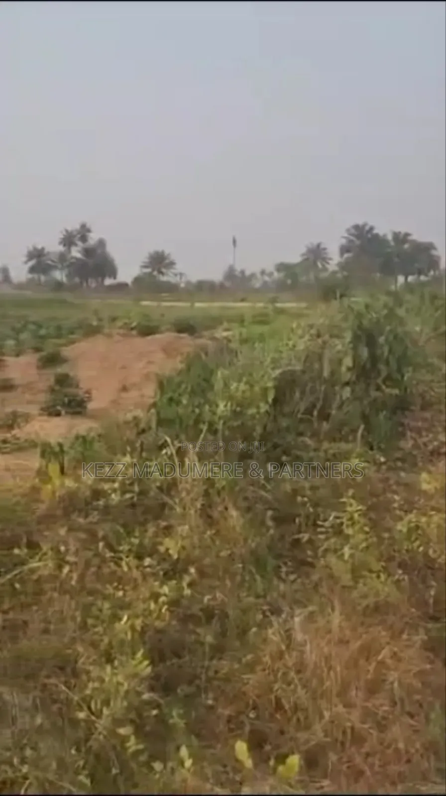 For Sale: 6 Plots on the Major Stadium Rd, Ph