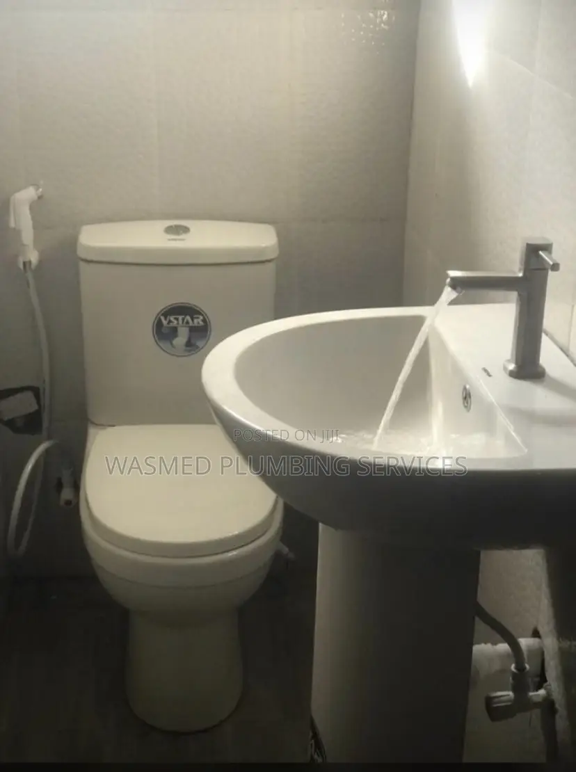 Professional Plumbing Services