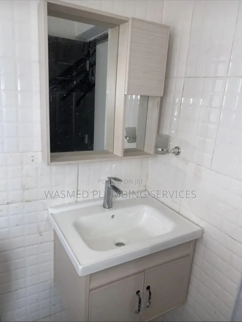 Professional Plumbing Services