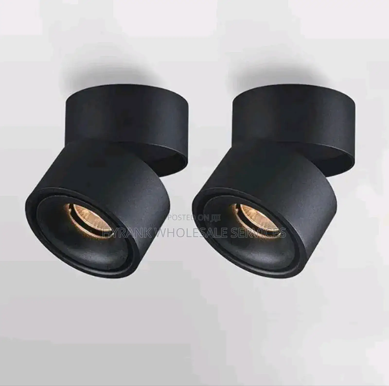Single Adjustable Track Lights