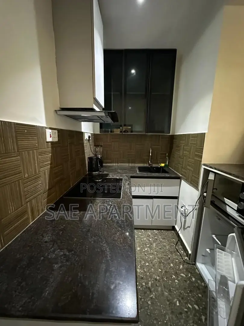 Ikoyi Lagos One Bedroom Apartment.