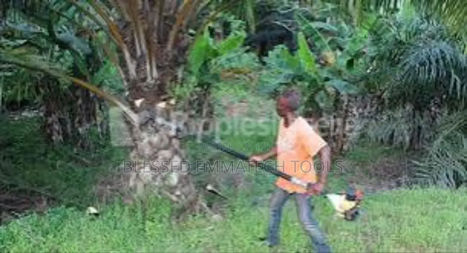 Palm Harvester Machine