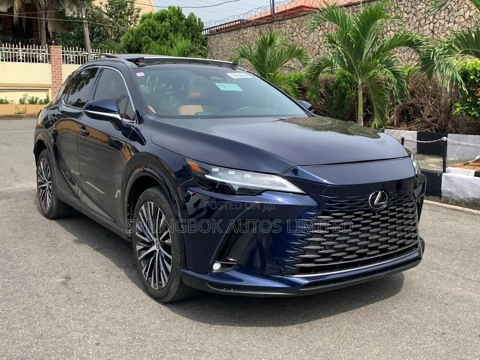 Lexus RX 2024 Blue