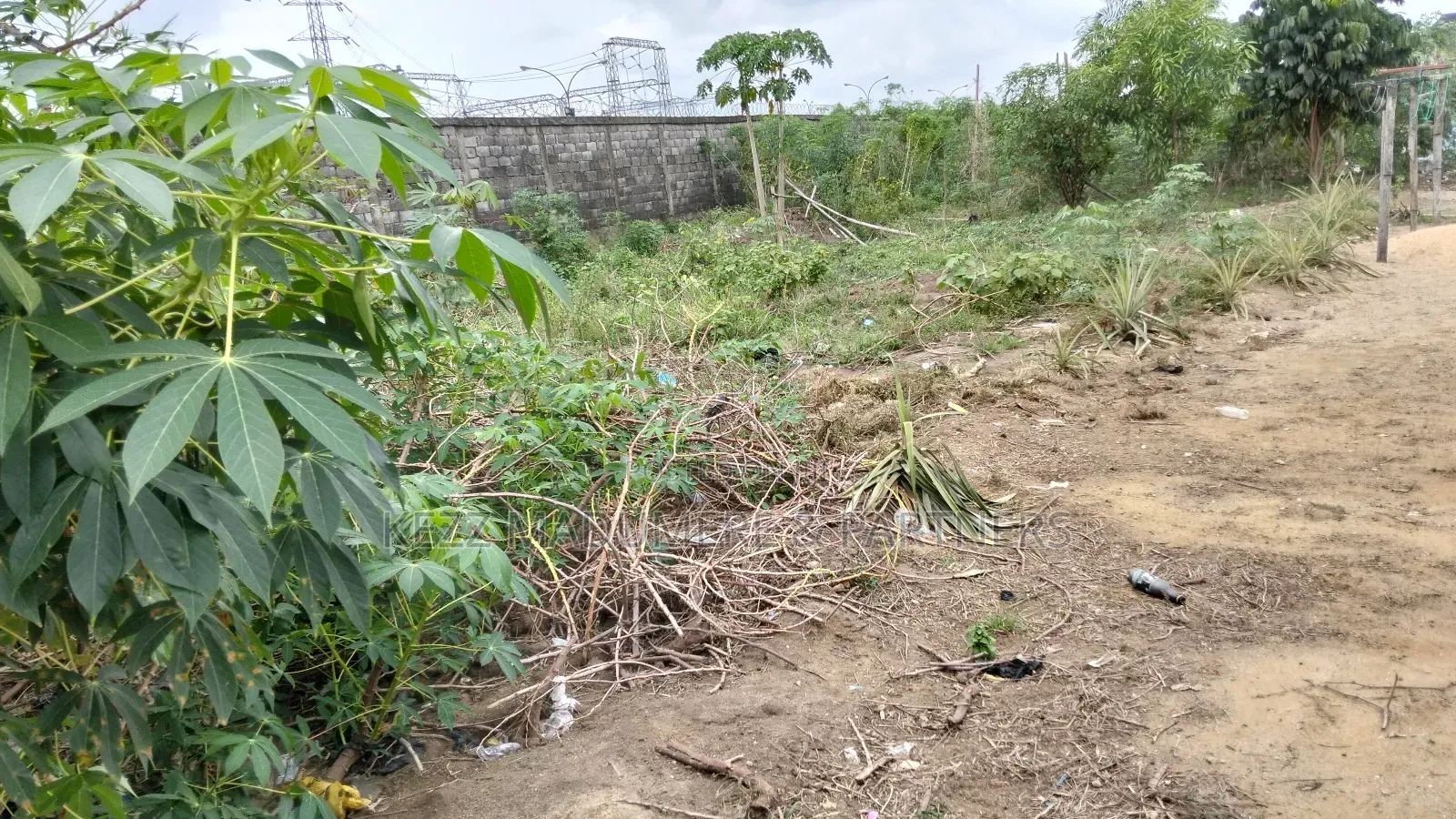 For Sale: 6 Plots on Major Stadium Road,