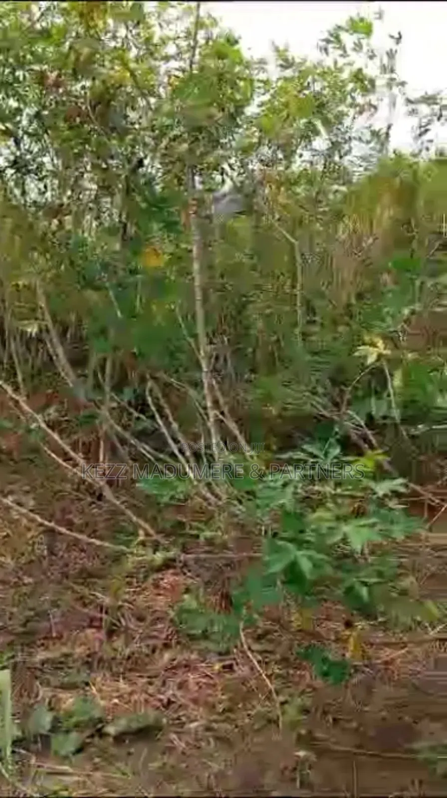 For Sale: Half Plot, Off Rd 1, Freedom Est, Sars Rd, Ph