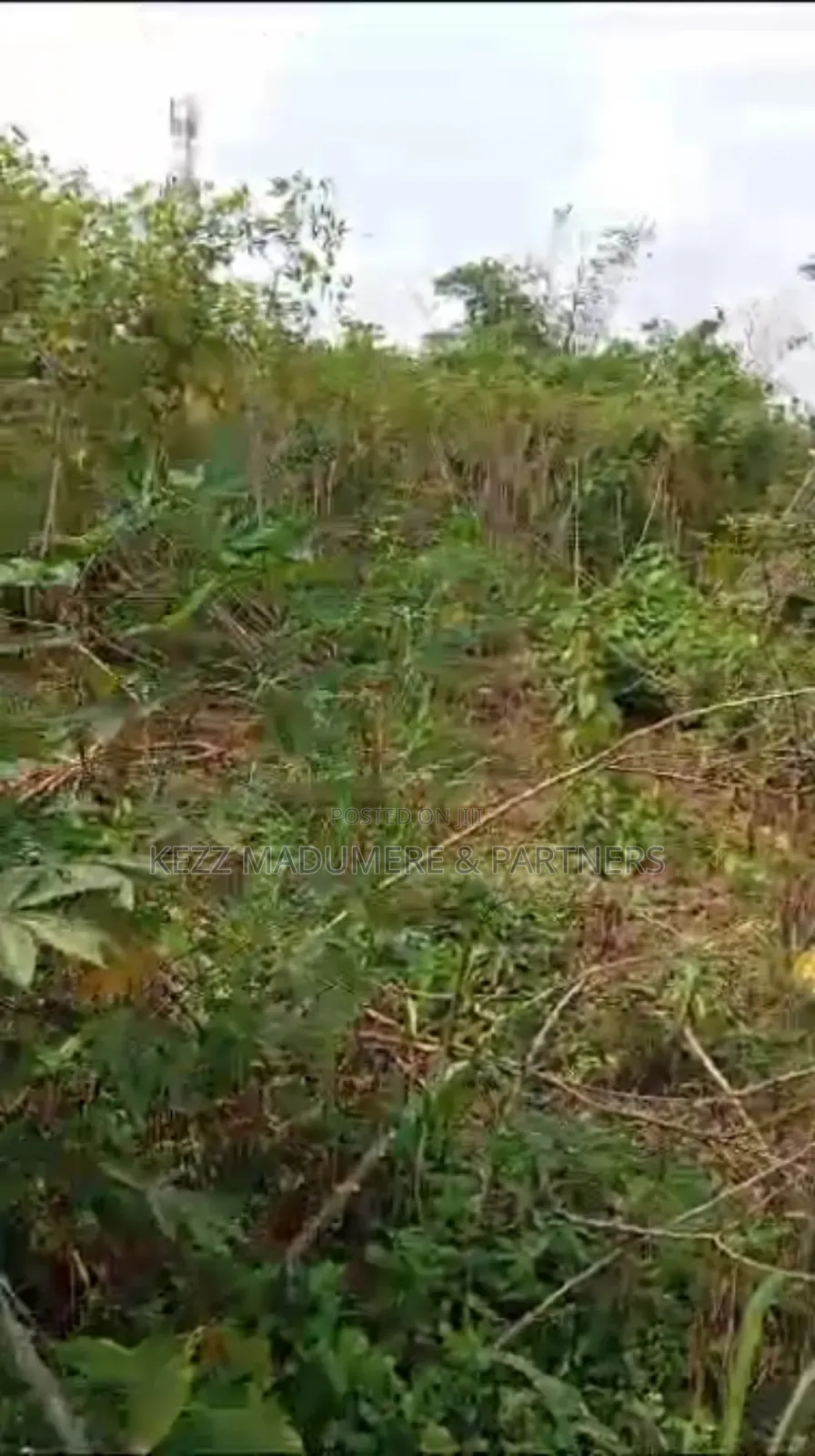 For Sale: Half Plot, Off Rd 1, Freedom Est, Sars Rd, Ph