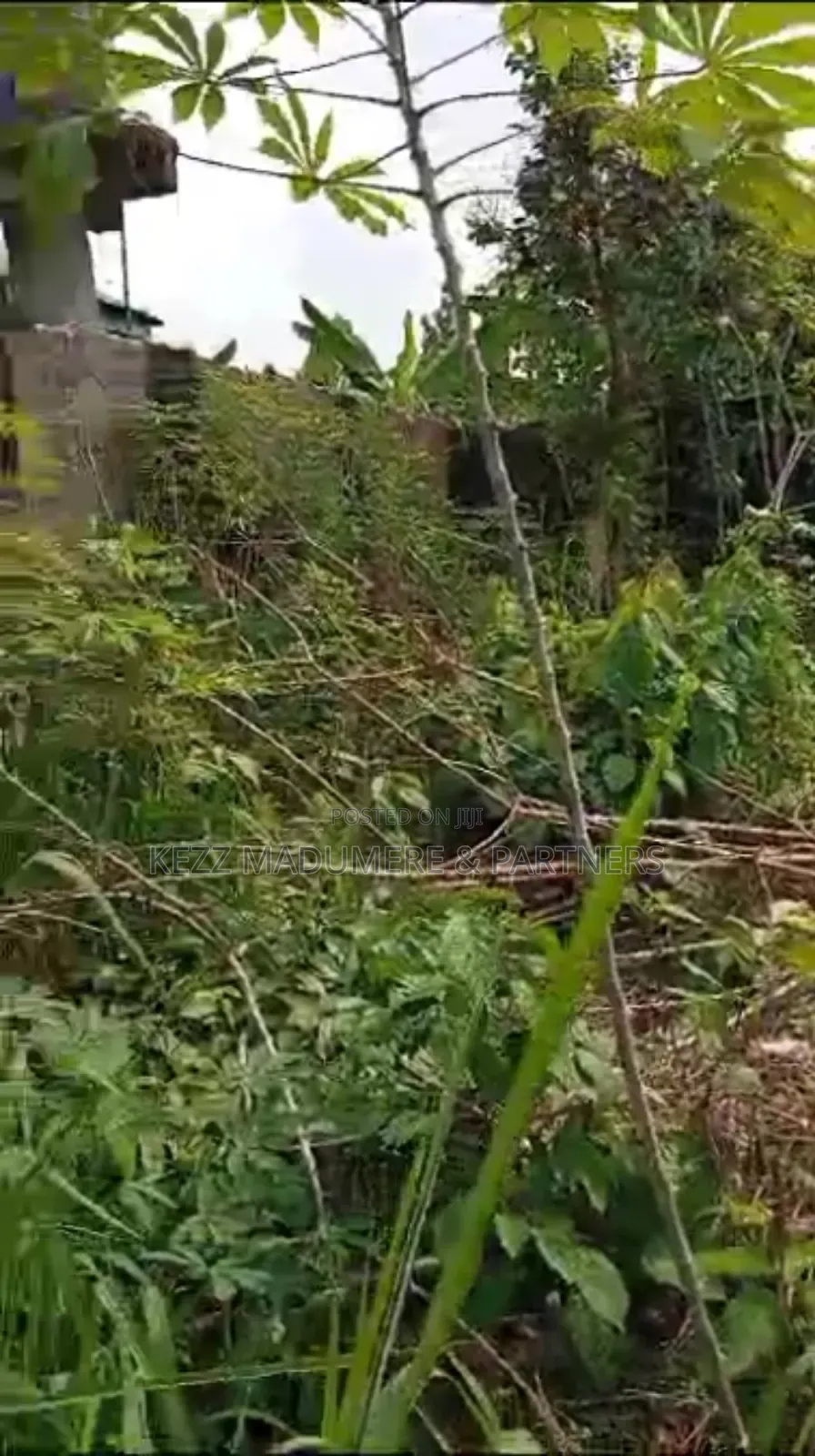 For Sale: Half Plot, Off Rd 1, Freedom Est, Sars Rd, Ph