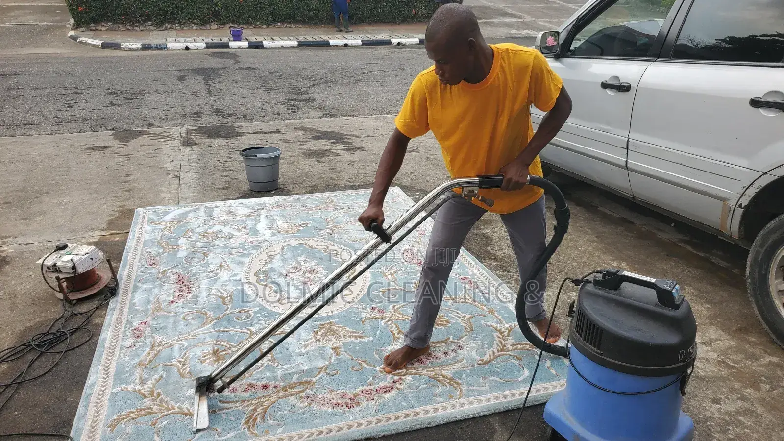 House Carpet And Rug Cleaners