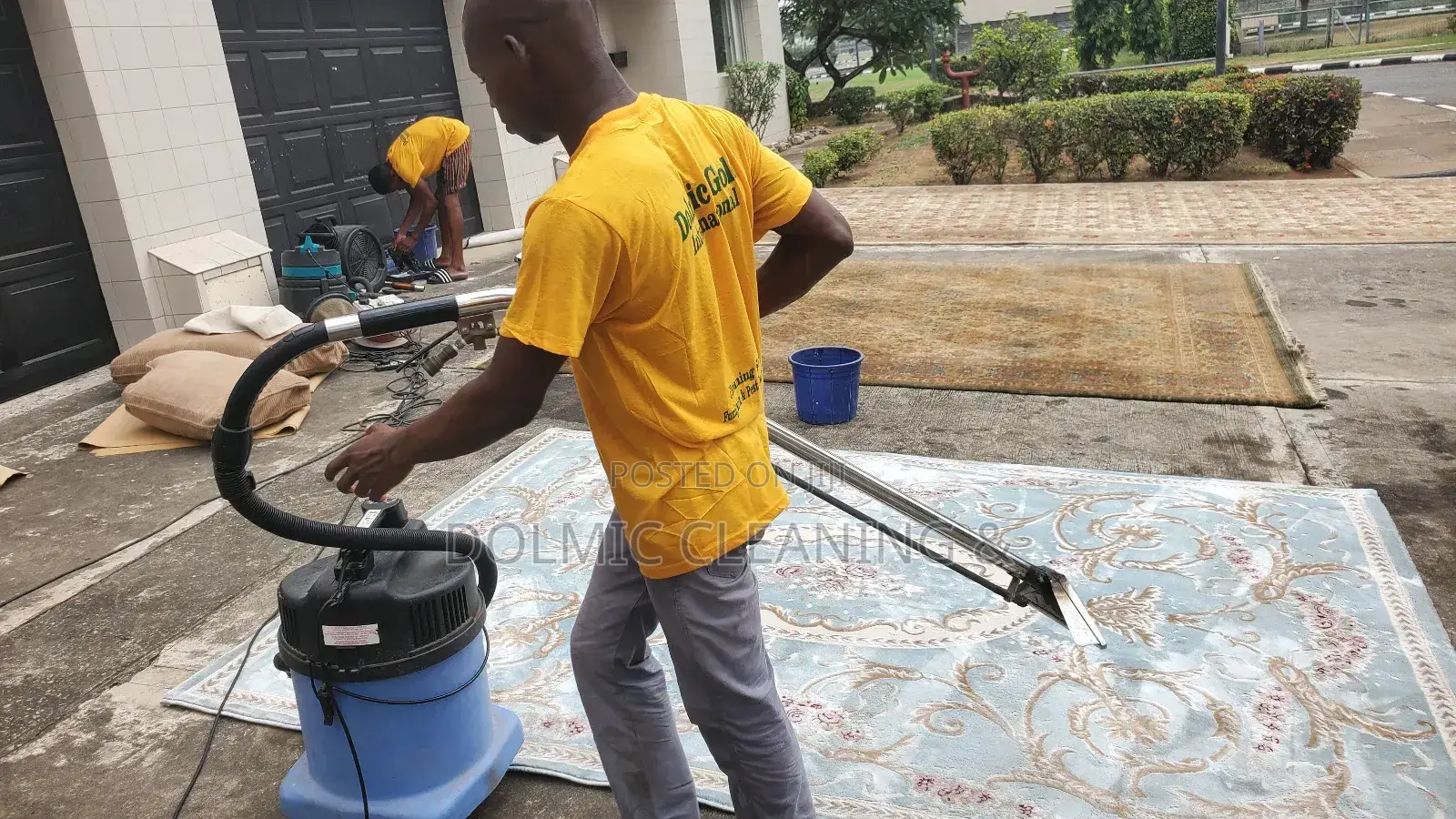 House Carpet And Rug Cleaners