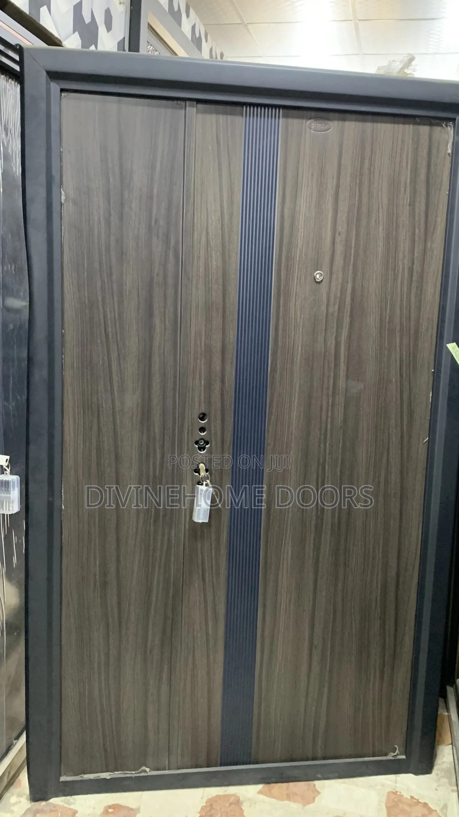 Blue Line German Steel Door