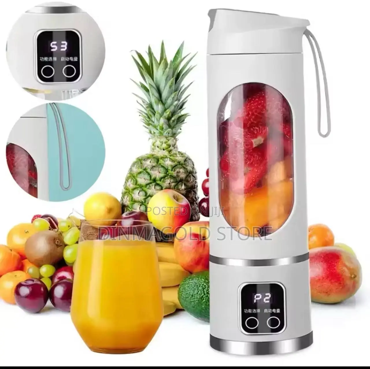Potable Fruit Juicer