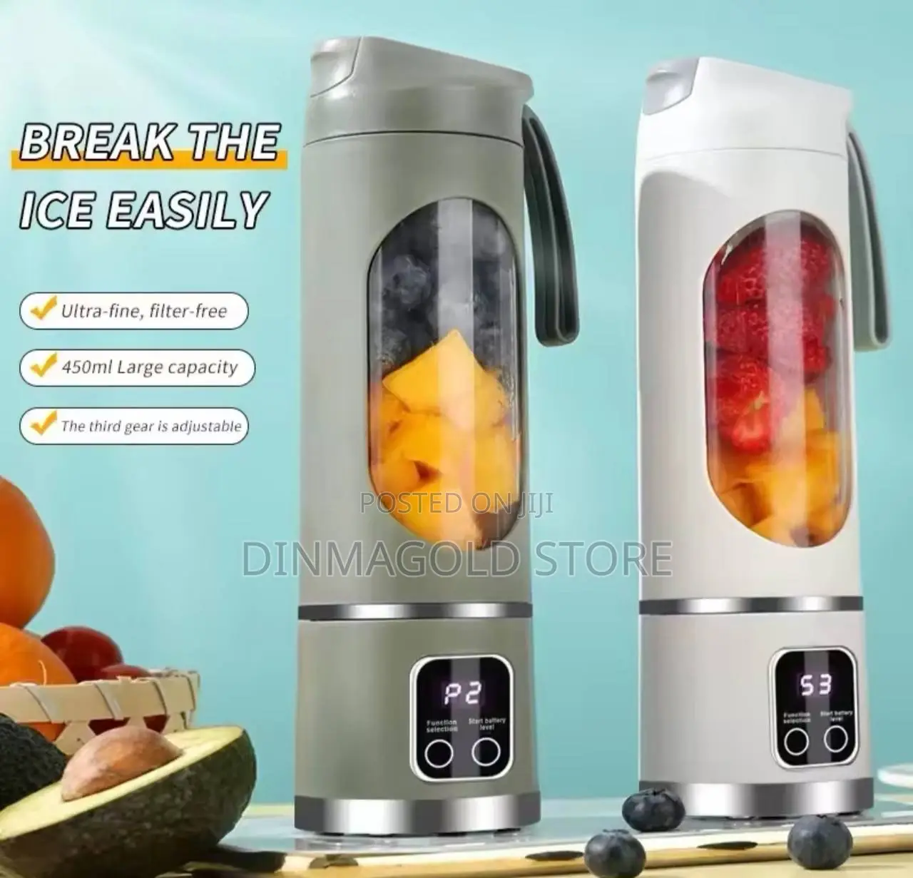 Potable Fruit Juicer