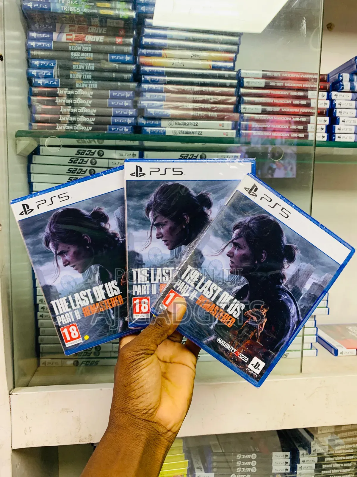 Ps5 Last of Us 2 Remastered