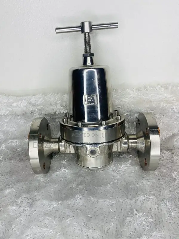 End Armaturen Pressure Reducer Dn25, S/S (Sku: Efy001)