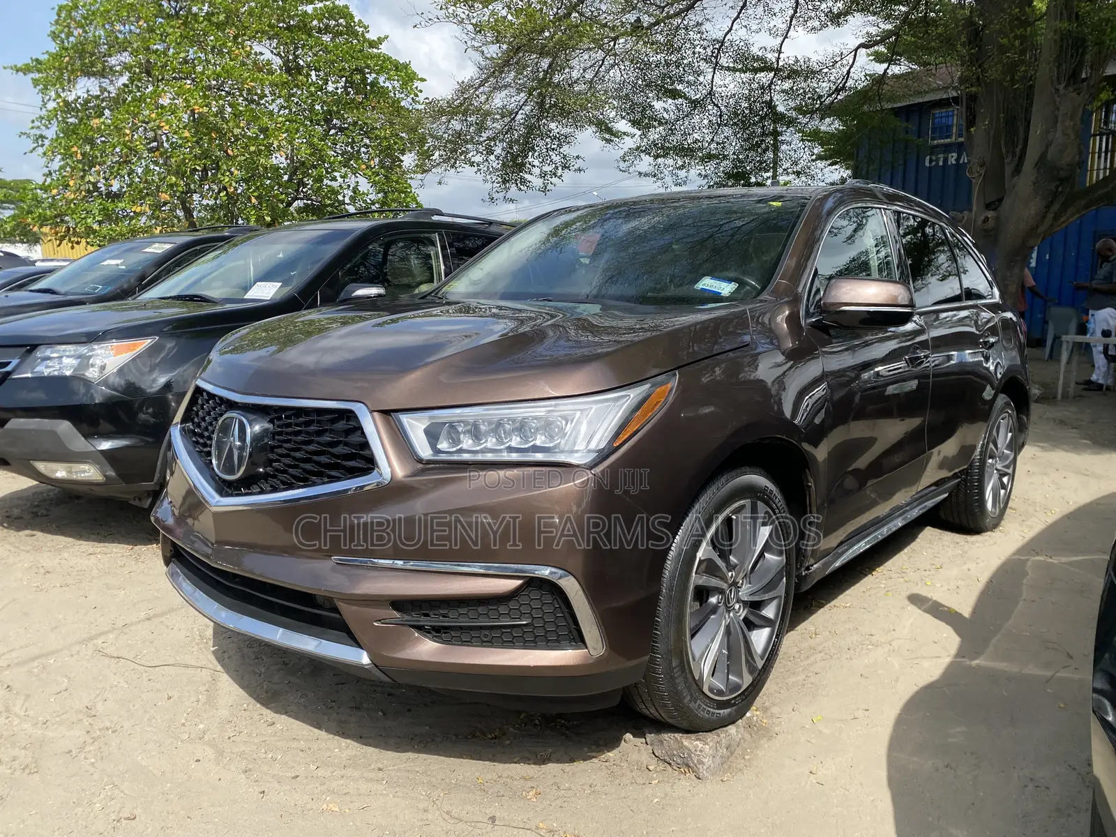 Acura MDX Advance & Ent. Pkgs SH-AWD 2019 Brown