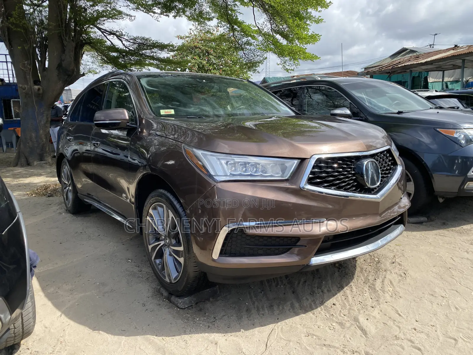 Acura MDX Advance & Ent. Pkgs SH-AWD 2019 Brown