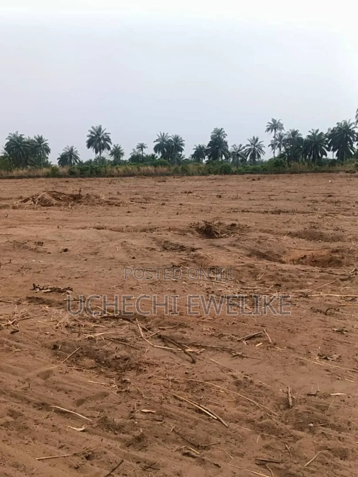 C Of O Land For Sale In Aba