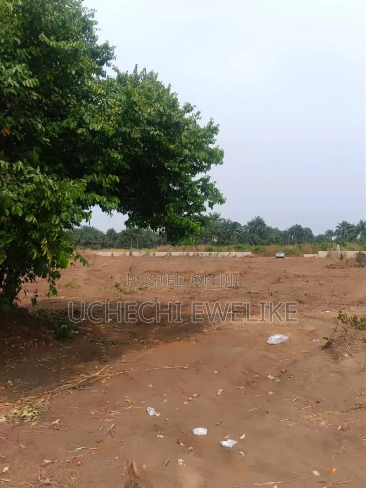C Of O Land For Sale In Aba