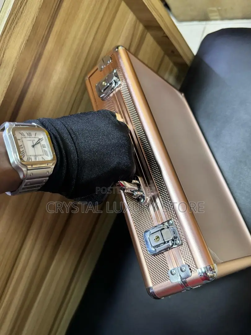 High Quality Luxury Wristwatch Safe Box