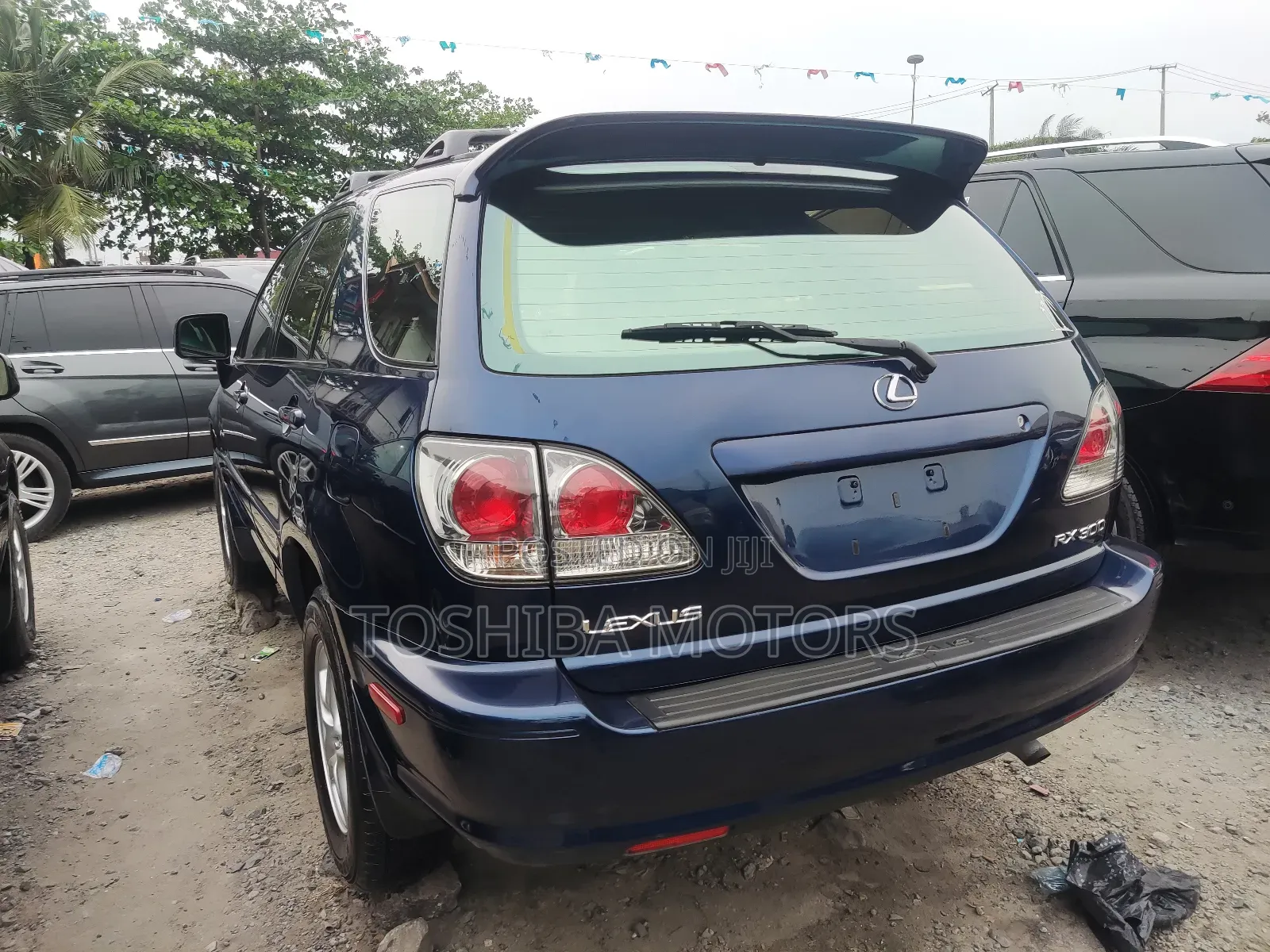 Lexus RX 2003 Blue