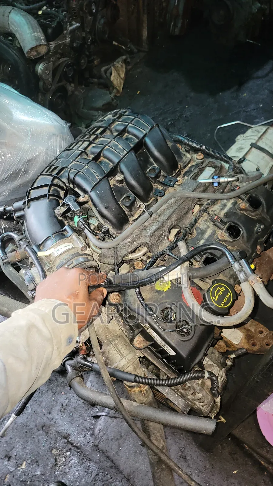 Engine Ford Mustang