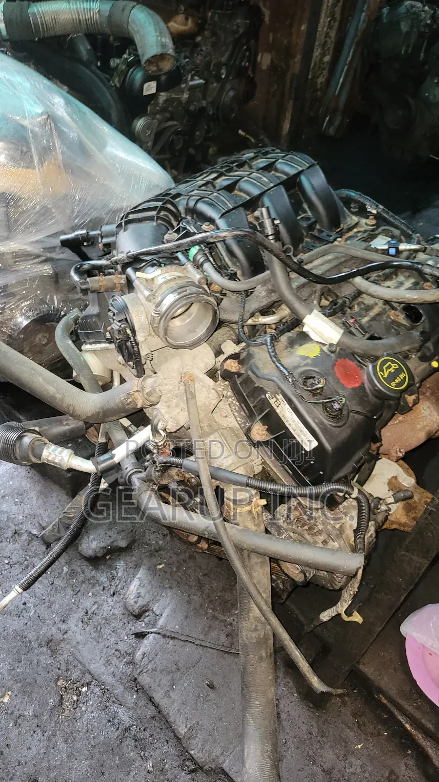 Engine Ford Mustang