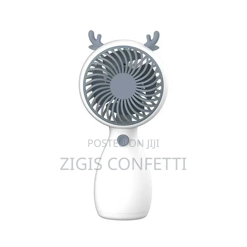 Rechargeable Fan
