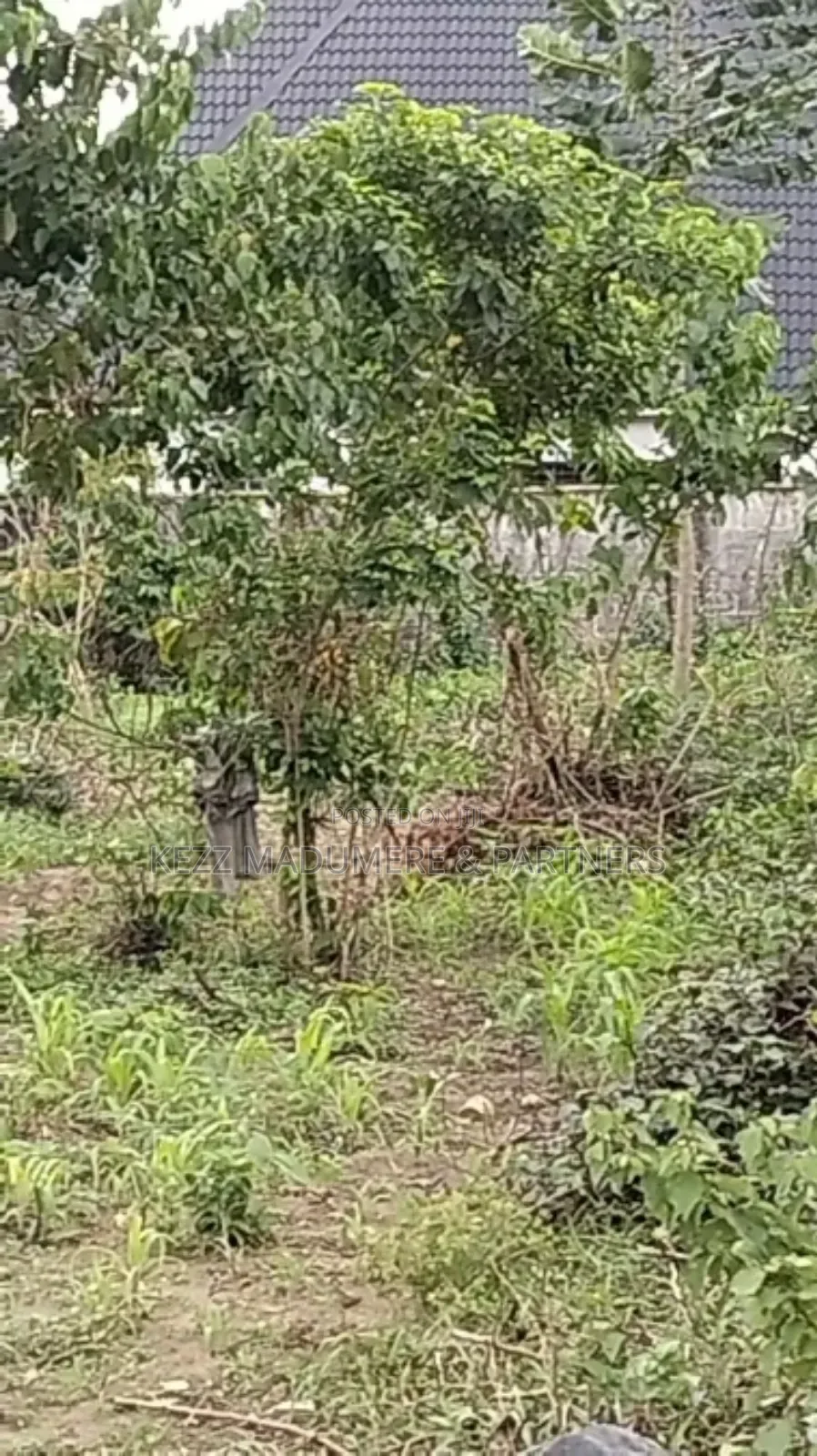 For Sale: 51⁄2 Plots Eneka Link Rd Ph