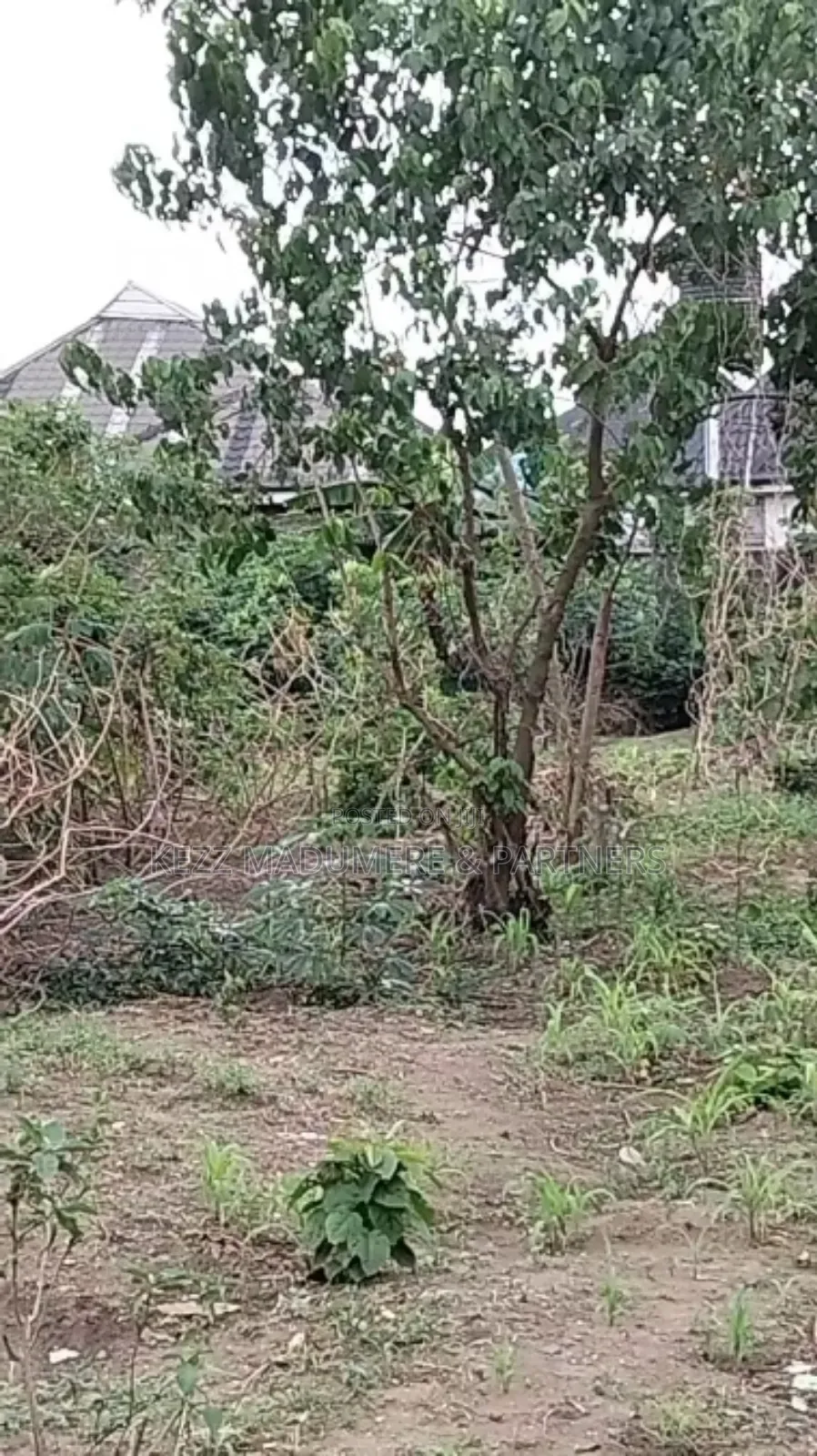 For Sale: 51⁄2 Plots Eneka Link Rd Ph