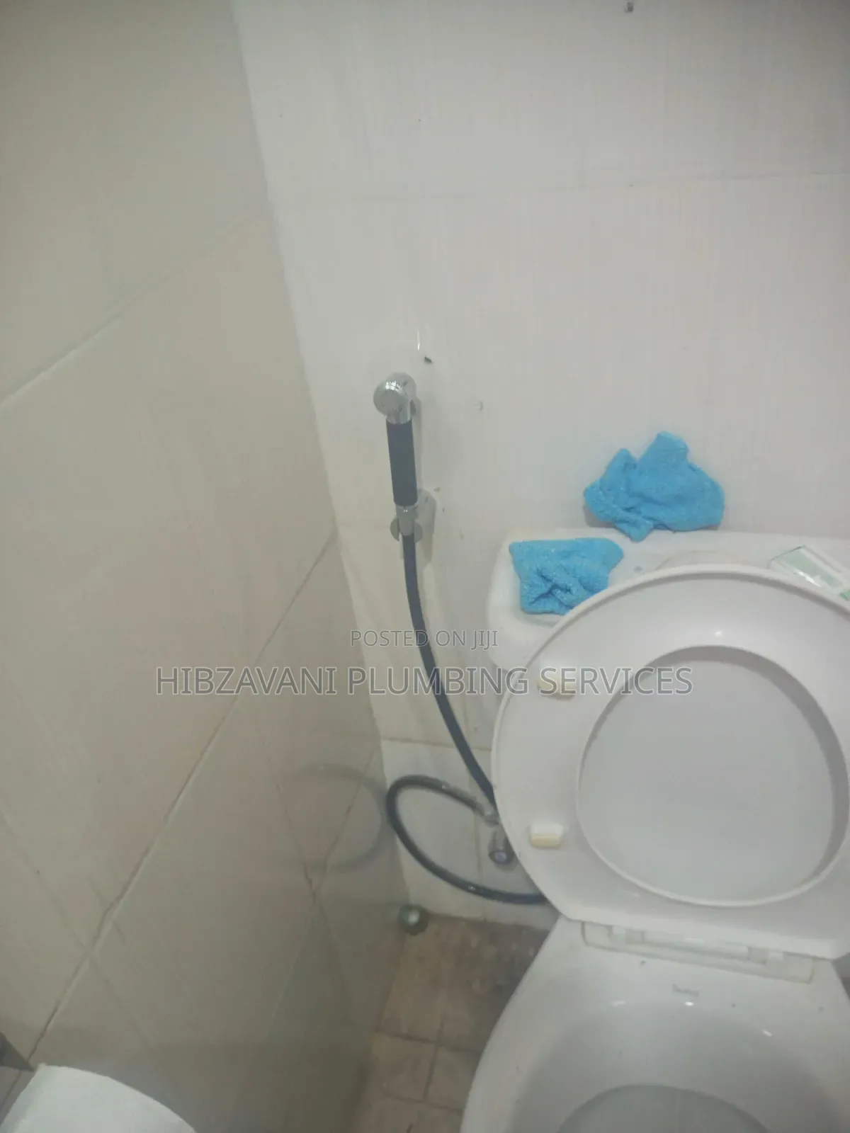 Plumber in Lagos