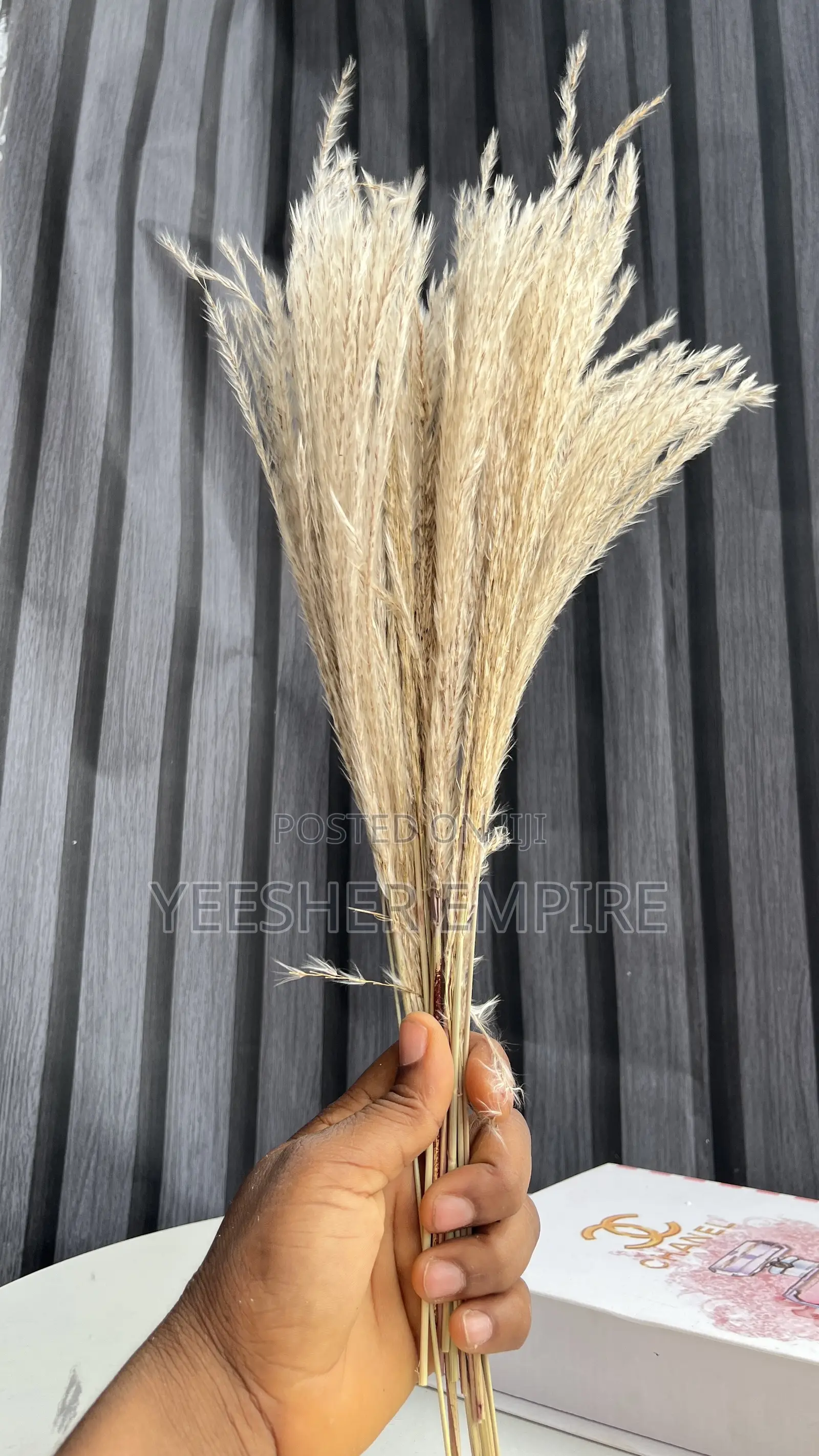Imported Pampas Flower In Designs