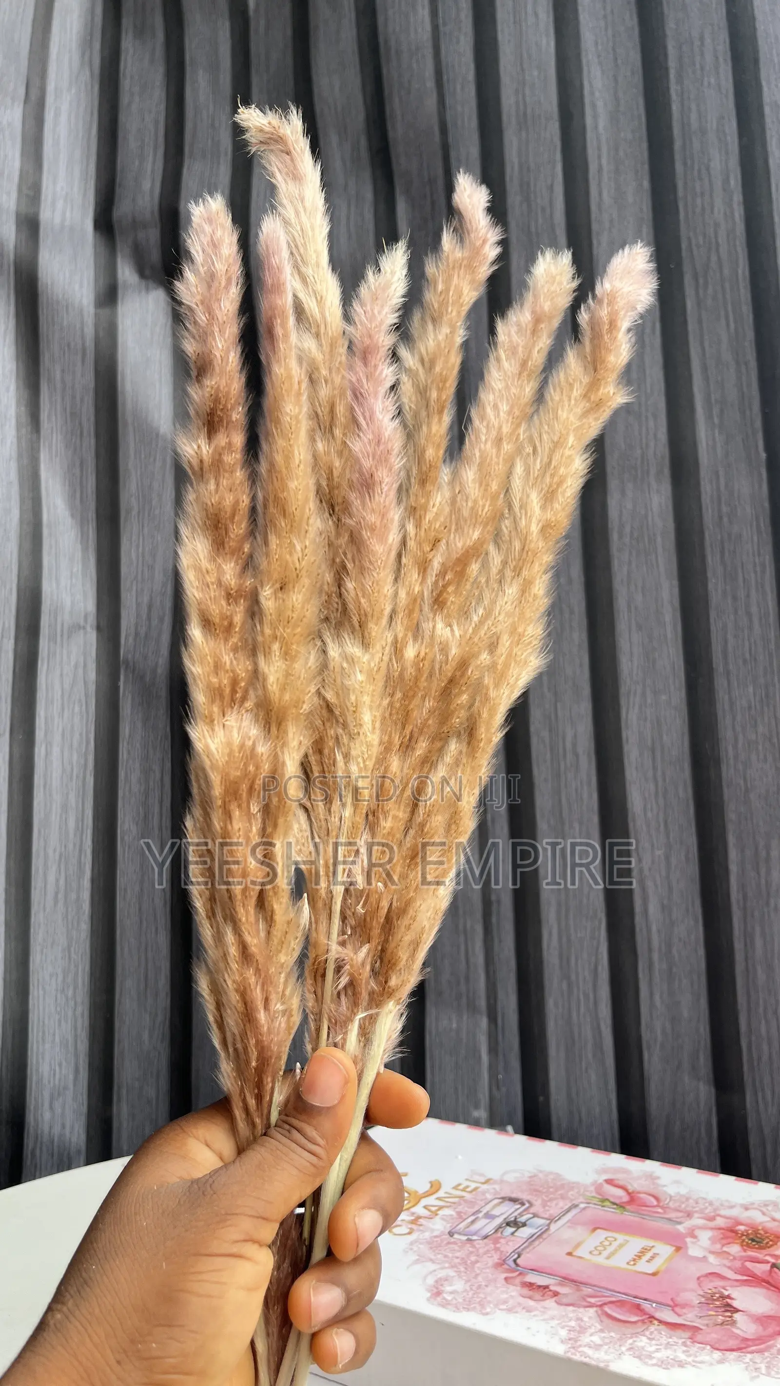 Imported Pampas Flower In Designs