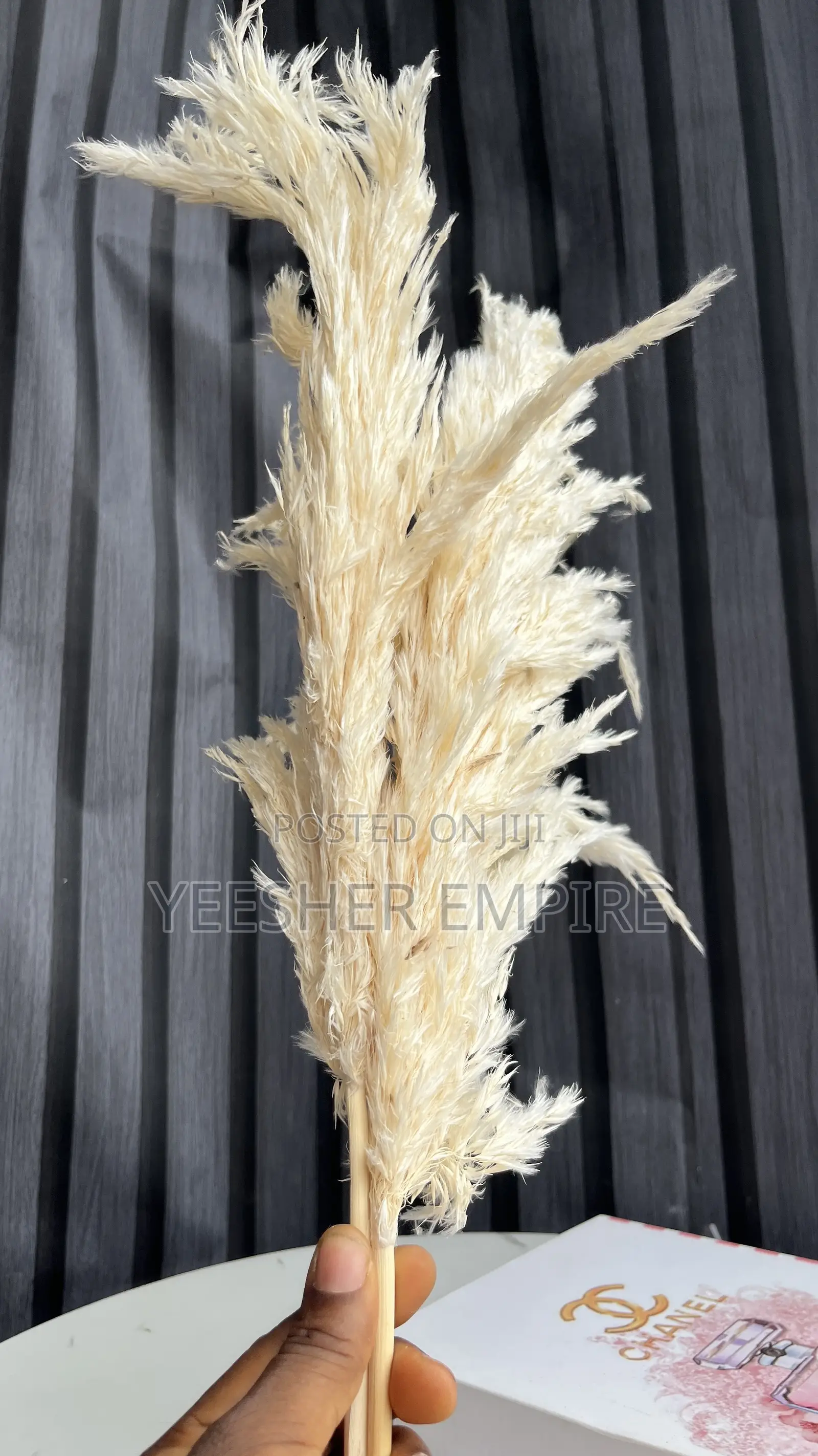 Imported Pampas Flower In Designs